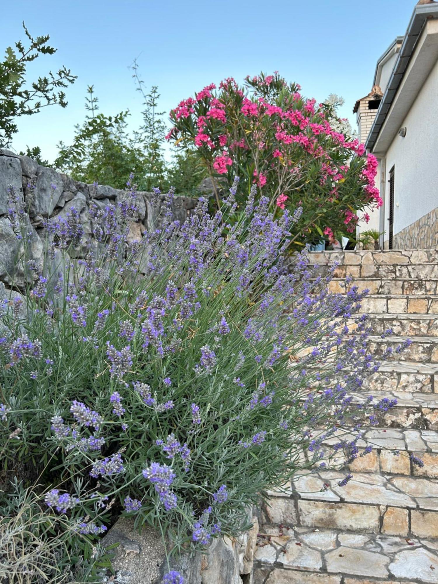Apartments Mestrovic, Klimno, Soline Bay, Island Krk Zewnętrze zdjęcie