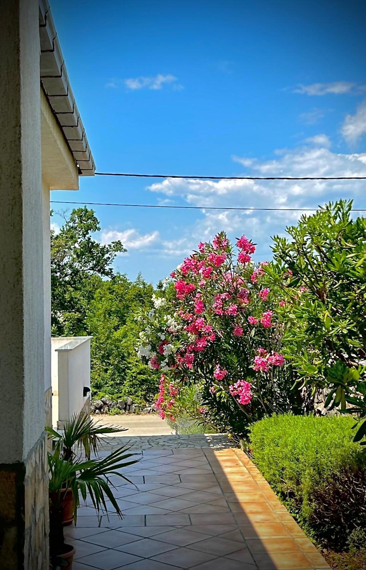 Apartments Mestrovic, Klimno, Soline Bay, Island Krk Pokój zdjęcie